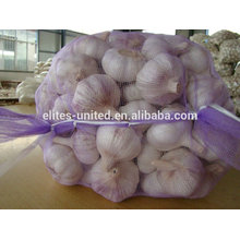 fresh shandong garlic